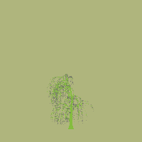 greenshift tree