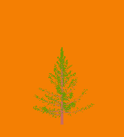greenshift tree