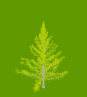 greenshift tree