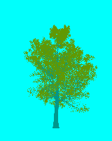 greenshift tree