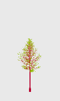 greenshift tree