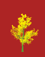 greenshift tree