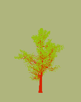 greenshift tree