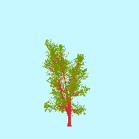 greenshift tree