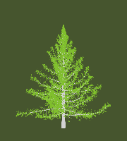 greenshift tree