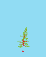 greenshift tree