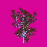 greenshift tree