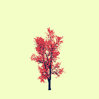 greenshift tree