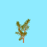 greenshift tree