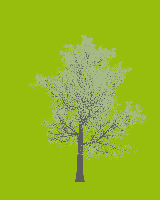 greenshift tree