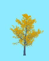 greenshift tree