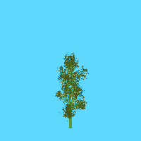 greenshift tree