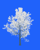 greenshift tree