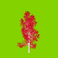 greenshift tree