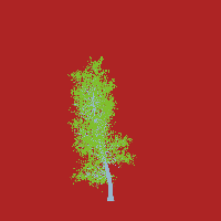 greenshift tree