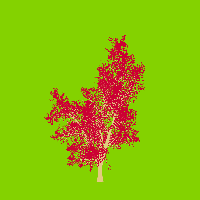 greenshift tree