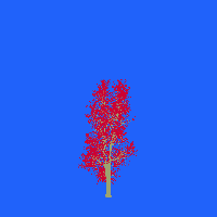 greenshift tree