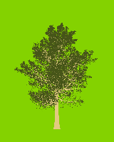 greenshift tree