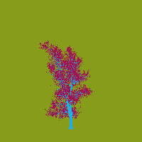 greenshift tree