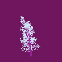 greenshift tree