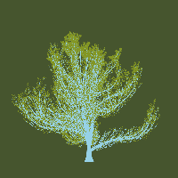 greenshift tree