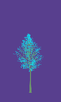 greenshift tree