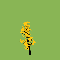 greenshift tree