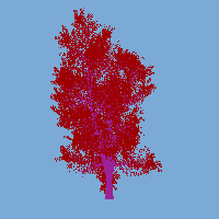 greenshift tree