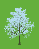 greenshift tree