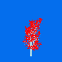 greenshift tree