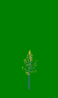 greenshift tree