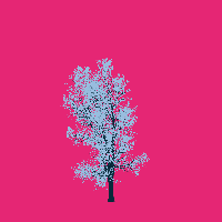 greenshift tree