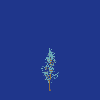 greenshift tree