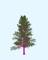 greenshift tree