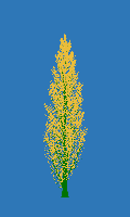 greenshift tree