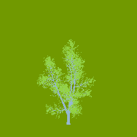 greenshift tree