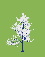 greenshift tree