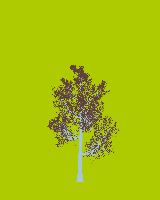 greenshift tree