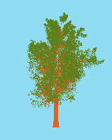 greenshift tree