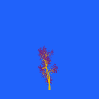 greenshift tree