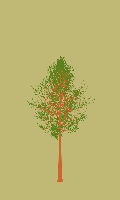 greenshift tree