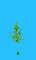 greenshift tree