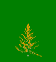 greenshift tree