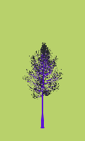 greenshift tree