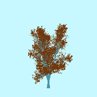 greenshift tree