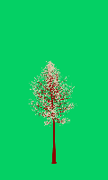 greenshift tree