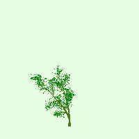 greenshift tree