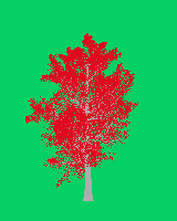 greenshift tree