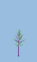 greenshift tree
