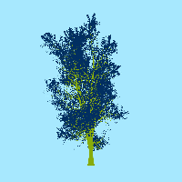 greenshift tree